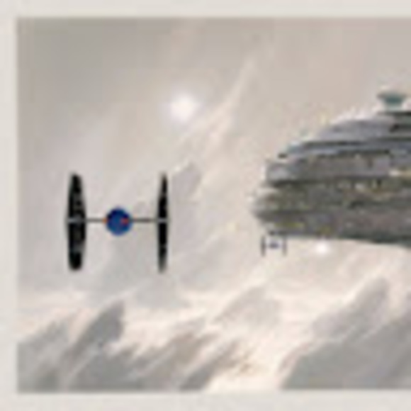 Meet your Posher, Rowan - Picture 1 of 1